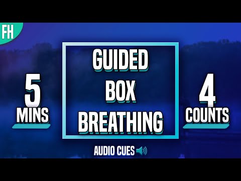 Guided Box Breathing - 5 Minute Meditation (4-4-4-4)