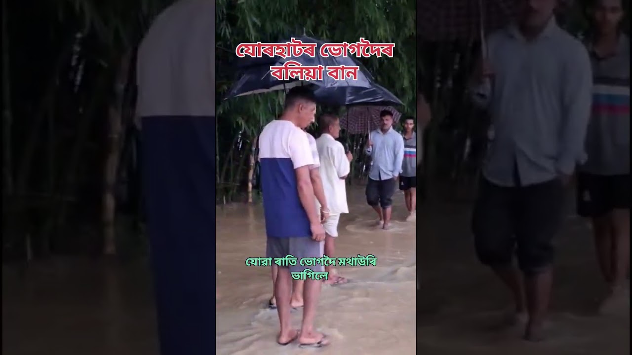 যোৰহাটৰ ভোগদৈৰ বলিয়া বান  #বানপানী #flooding #flood #shortvideo #viralshorts #youtubesearch #viral