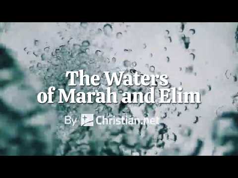 Exodus 15: The Waters of Marah and Elim | Bible Story (2020)