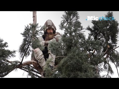 The internet is obsessed with a man in a tree | Mic Check