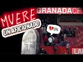 Fallece un aficionado del Granada C.F.  y suspenden el partido