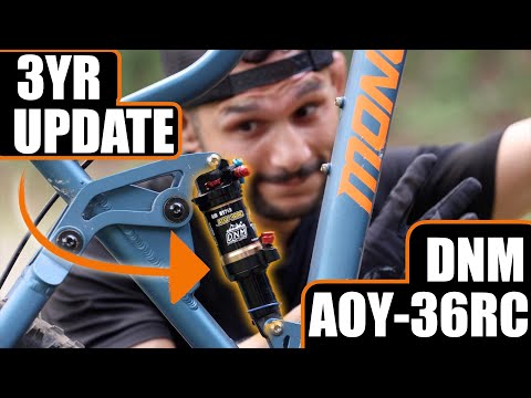 DNM AOY-36RC: Longterm Review!