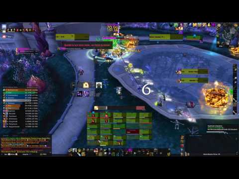 Explosive Sheep vs High Botanist Tel'arn Heroic, Disc Priest POV