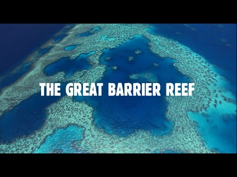 Queensland's Great Barrier Reef: The World's Best Address