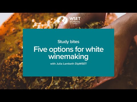 Study bites: five options for white winemaking (WSET Level 3 wine)