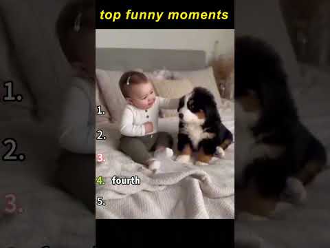 TOP5 MOMEN TERLUCU #funny #funnyvideos #comedy #viral #memes #lol #haha #laugh #funnymoments#top