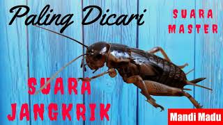 Download lagu Terapi Suara Jangkrik Panjang Paling Di Cari Suara Jangkrik alam Masteran Burung mp3