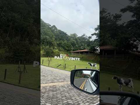 Passa vinte MG #jornadadumbebum #mg #fy #passavinte #mato