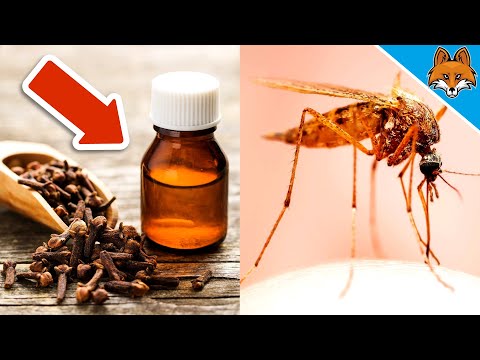 DAMIT sind Mücken NIE WIEDER ein Problem für dich 💥 (Genialer Trick) 🤯