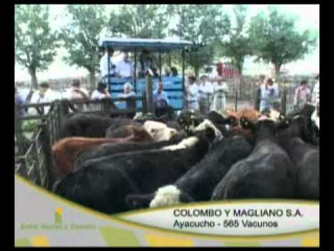 Entre Surcos y Corrales - Programa 48 - Parte 1 de 5