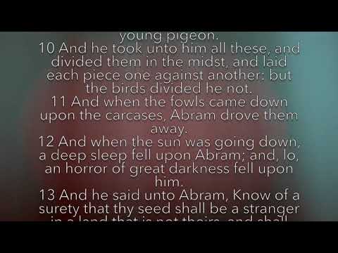 Genesis 15 (KJV AUDIO/VIDEO)