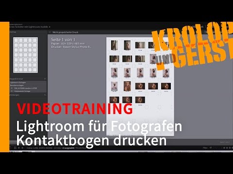 "Lightroom für Fotografen" - Ausgabe - 027 Kontaktbogen drucken - VIDEOTRAINING - Sample