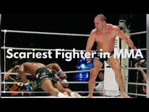 Wanderlei Silva highlights 2023