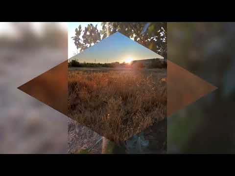 REconectarte con Aneeka de Temmer #taygeta pleyades ✨conversaciones telepáticas🌟