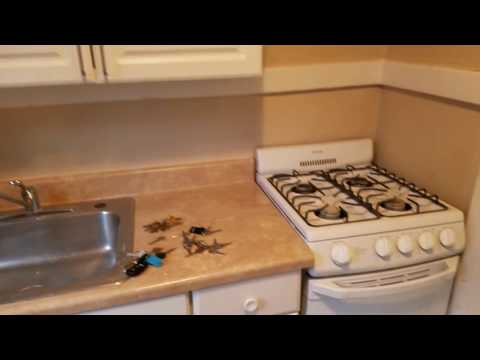 30 Prince St - Video 5 of 5