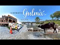 GULMA || Ewam Buddhist Monastery || Cinematic Gulma || A hidden beauty in Siliguri ||  Toribari ||