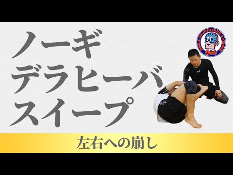 ノーギデラヒーバガード