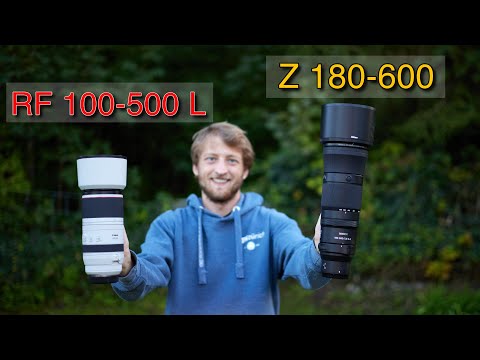 Ein unfairer Vergleich? Nikon 180-600 vs Canon 100-500 für die Wildlife Fotografie