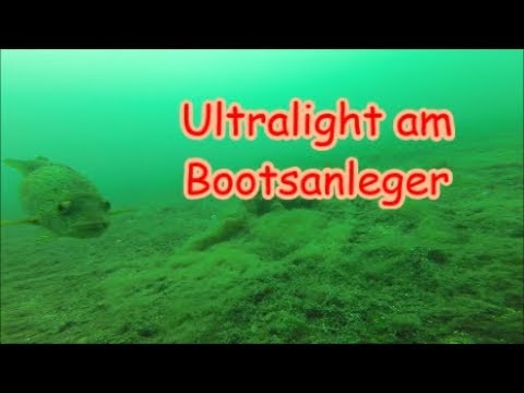Uferangeln UL in Norwegen - Unterwasseraufnahmen mit Live Bissen - Ultralight am Bootsanleger