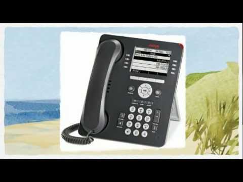 Avaya 9608 IP Telephone (700480585)