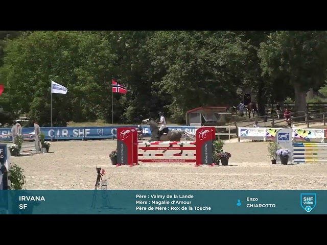 Draagmerrie Selle Fran&ccedil;ais Te koop 2018 Schimmel ,  Valmy de la Lande