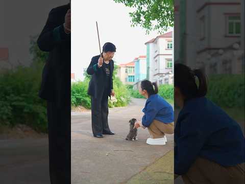 A Cat Woman Stole the Puppy’s Necklace… But They Took It Back!