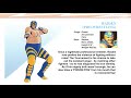 Fatal Fury Raiden Profile