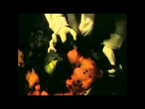 Smoalăcazan    -  Vama Unu Instrumentație Raven