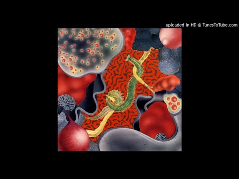 Bear Bones, Lay Low - Bark Gleams Silver