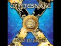 Whitesnake - All I Want All I Need