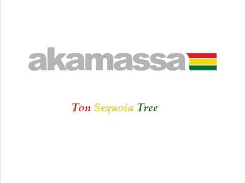 Akamassa - Ton Sequoia Tree