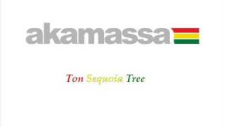 Akamassa - Ton Sequoia Tree