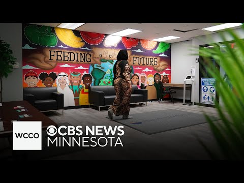 Woman who bribed Feeding our Future juror summoned back in federal court after DUI arrest