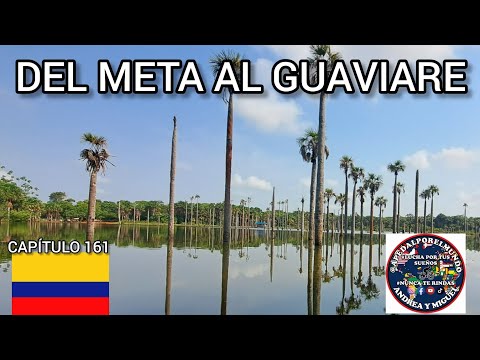 Toninas, lagunas y más Paraísos naturales de Mesetas a Puerto Concordia