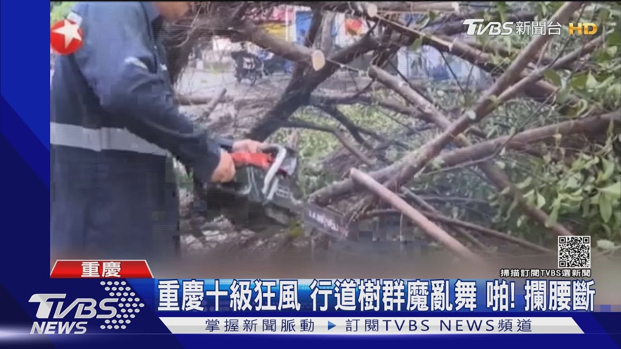 重慶十級狂風！行道樹群魔亂舞　啪！攔腰斷