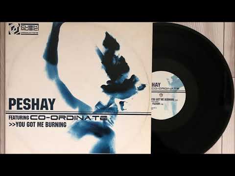 Peshay feat. Co-Ordinate - You Got Me Burning