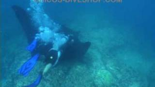 preview picture of video 'Diving with a huge Manta in Puerto Vallarta Mexico'