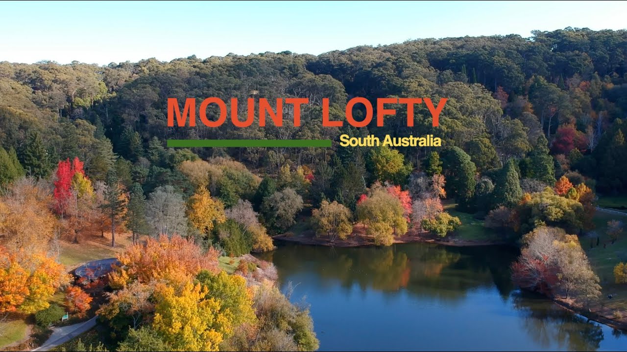 Discover the aerial vistas of Mount Lofty Botanic Garden.