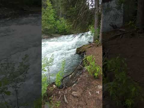 Hurricane Creek rushing by