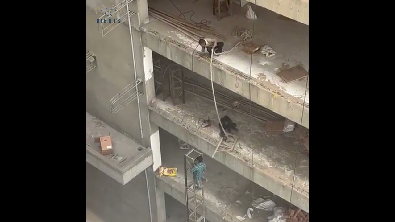 Indian construction workers are fearless, but safety should never be a compromise.