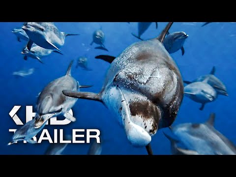 OZEAN MIT DAVID ATTENBOROUGH Trailer German Deutsch UT (2025)