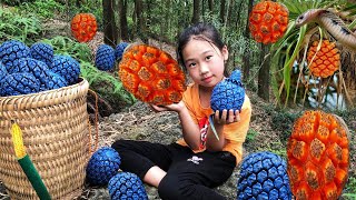 The poor girl spent 5 days harvesting agricultural products to sell at the market