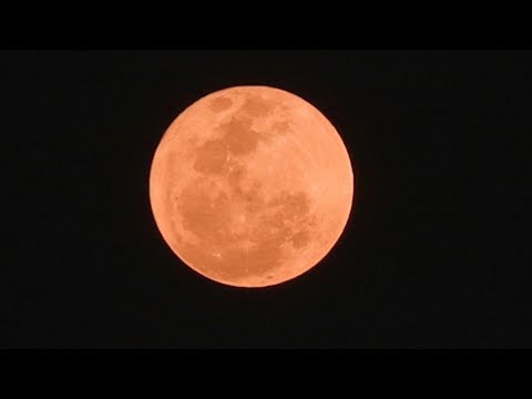 Video Thumbnail: Super Blue Moon rises over Sao Paulo skyline | AFP
