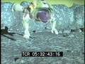 Toy Story II Re Sound Designed