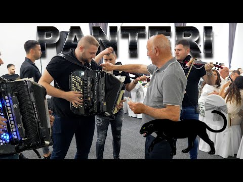 Orkestar Mladena Spasojevica PANTERI i Milan Strasni - razigravanje majstora, veselje u Obrenovcu