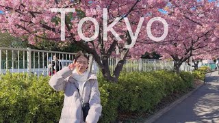 日本東京丨淺草寺散策、超多汁豬排Tonkatsu Yutaka、木場公園河津櫻