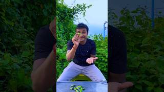 Download lagu Kathu Mela 😊 Tom&Jerry 🤣 | mistihappylifestyle #shorts #funny #viral #shortvideo mp3