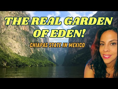 Mexico's Most BEAUTIFUL State? CHIAPAS (Things to do, Costs, Small Towns, and More)