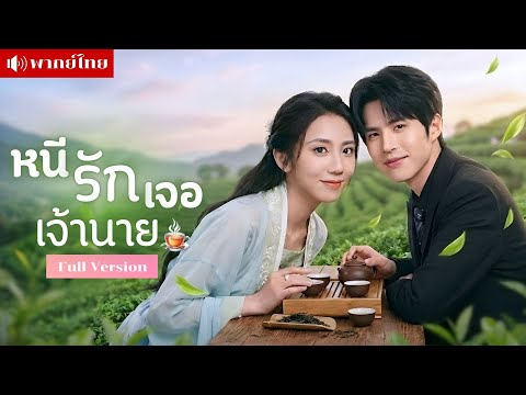 สาวใจพังหนีกลับบ้านเกิด! เจอCEOปากร้ายจ้างเป็นเลขา? จากคู่กัดสุดซวย! สู่รักวุ่นเขย่าหัวใจในสวนชา