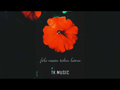 TK Music - Fili Neau Toku Lanu (Audio)